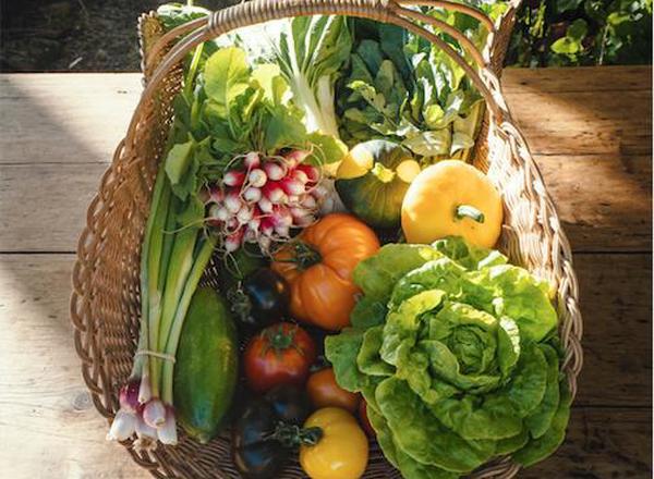 Veggie Box