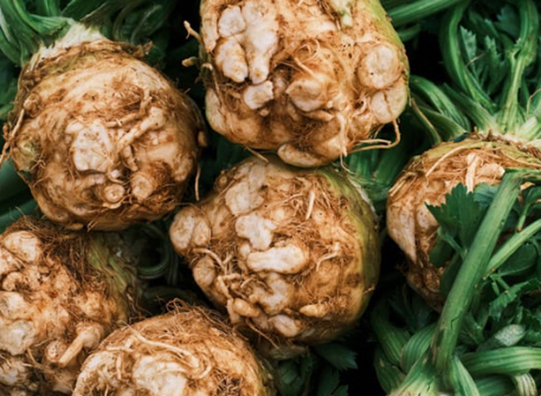 Celeriac
