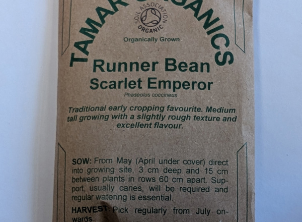 (Seeds) Runner Bean - Scarlet Emperor