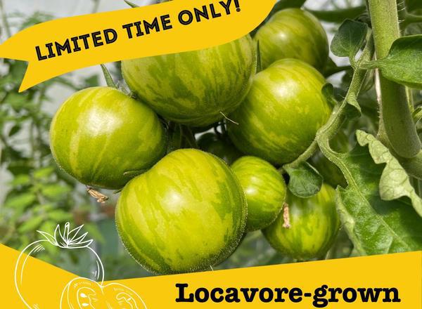 Locavore-Grown Green Tomatoes