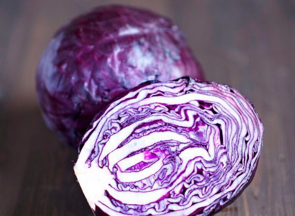 Cabbage Red