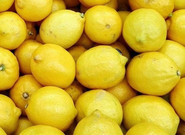 Lemon - Verna