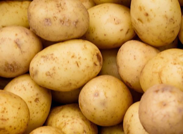 Potato: Twinner