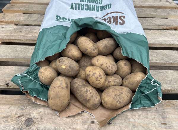 Organic Potato Twinner
