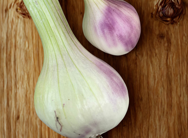 Shallots