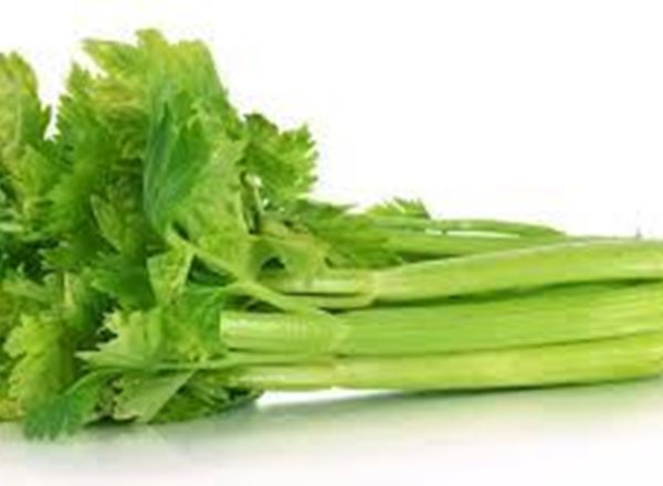 Celery Bunch