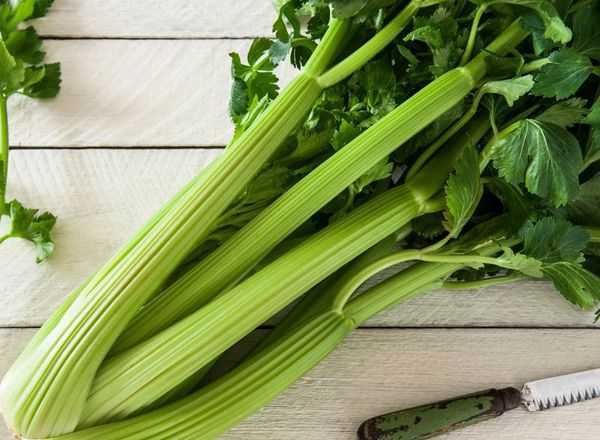 Celery Bunch