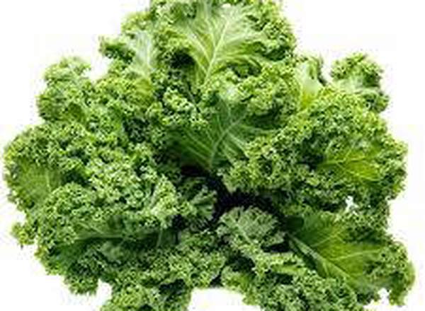 Kale - Curly
