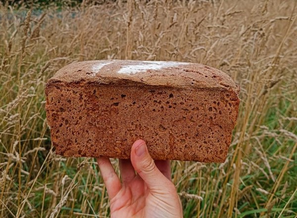 Organic Rye Sourdough