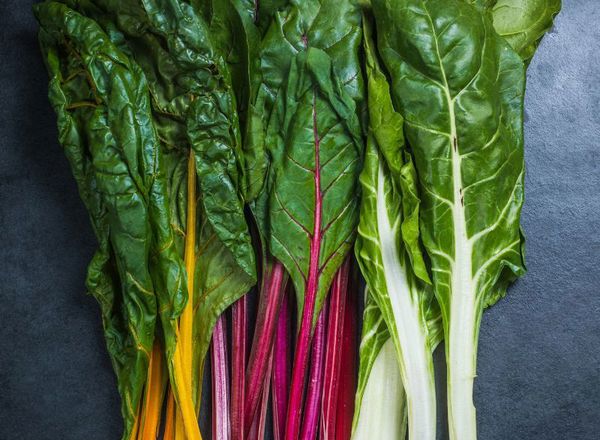 Chard Rainbow