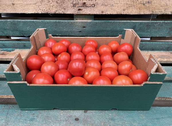 Tomatoes - Organic Round - loose