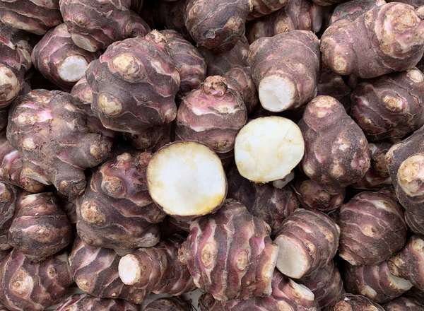 Jerusalem Artichoke (Italy)