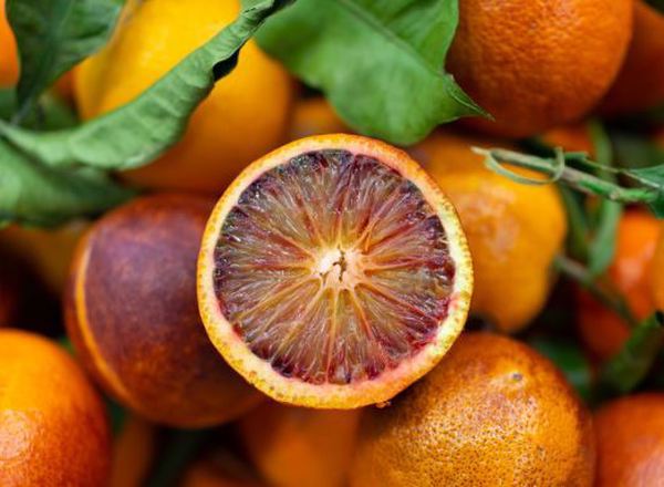 Oranges - Blood Oranges - kg