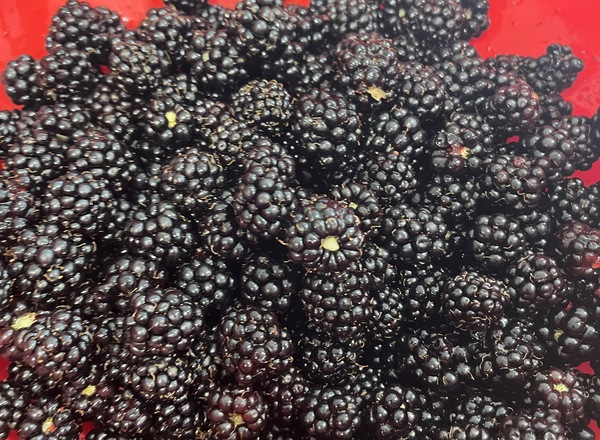 Blackberries