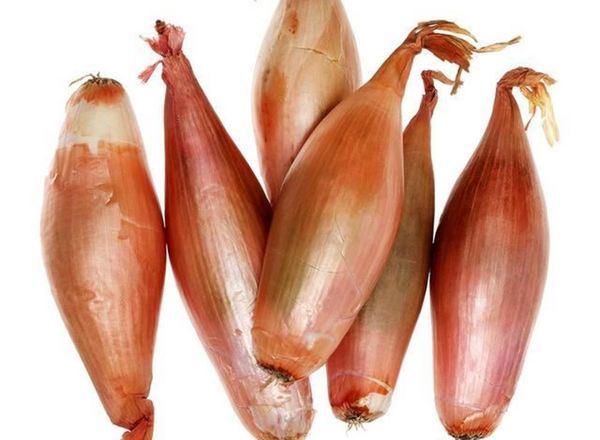 Shallots - EKG