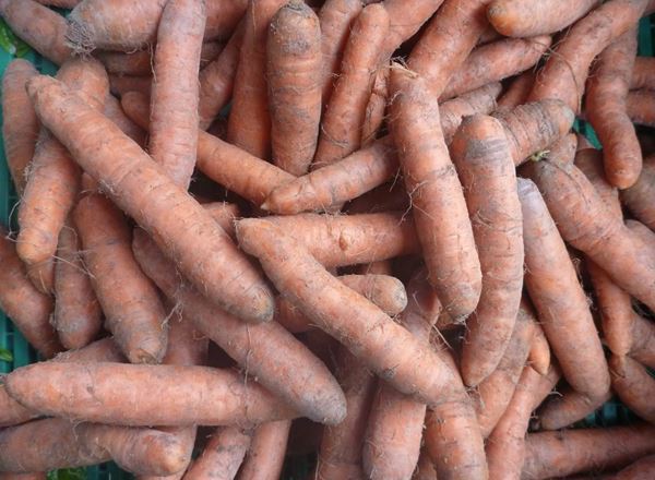 Carrots - 1kg