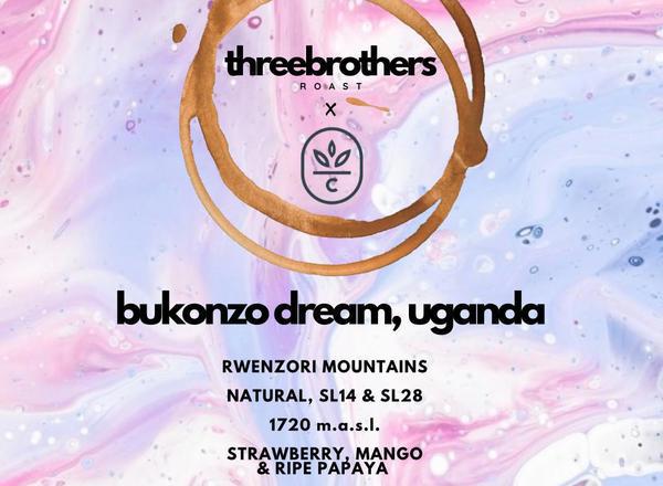 Bukonzo Dream, Uganda Coffee Beans