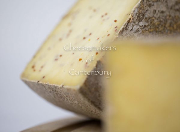 Ashmore Mustard Cheese