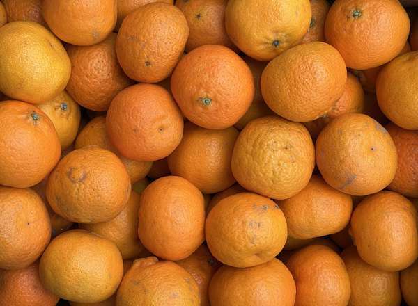 Satsumas