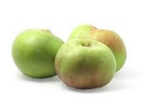 Apple Bramley