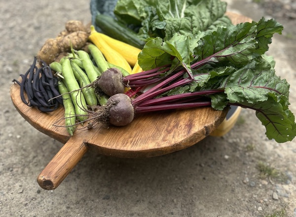 Seasonal Veg Box