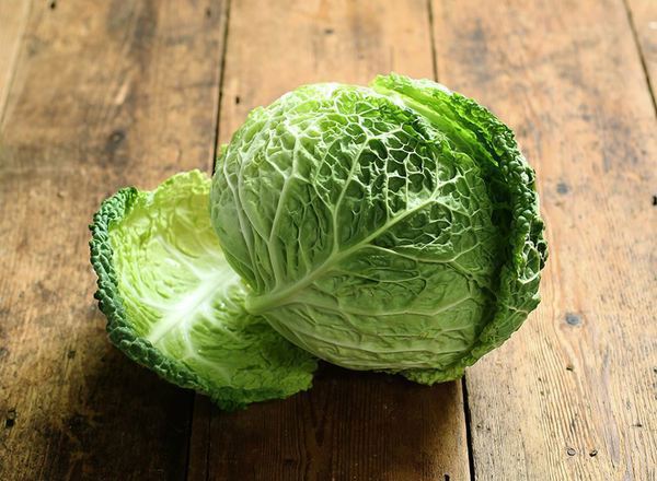 Cabbage: Savoy