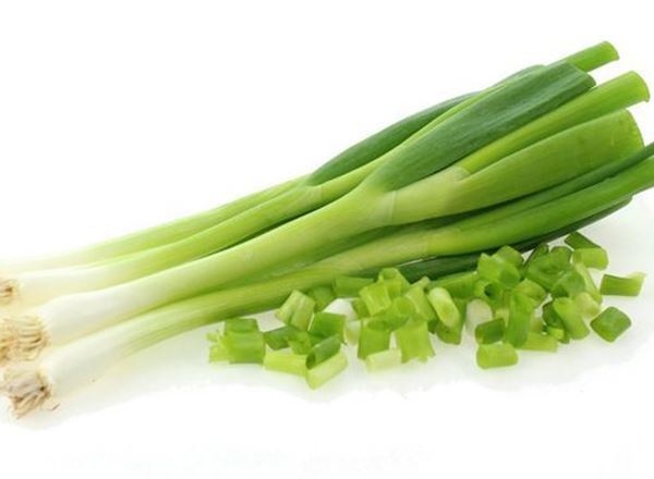 Spring Onions Bunch