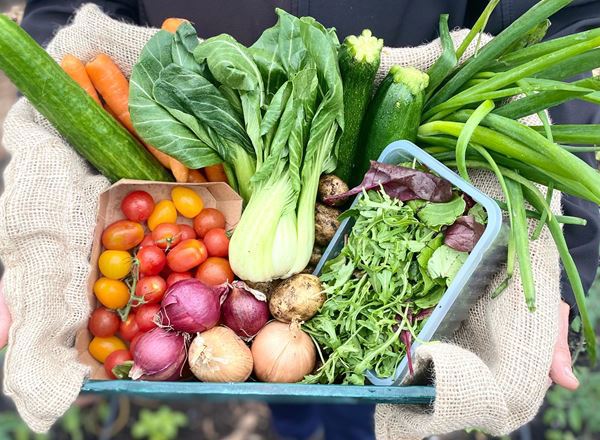 2024 Summer Veg Box