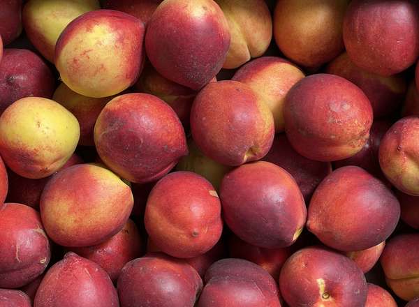 Organic Nectarine (600g)