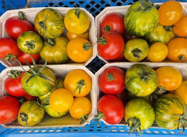 Tomatos