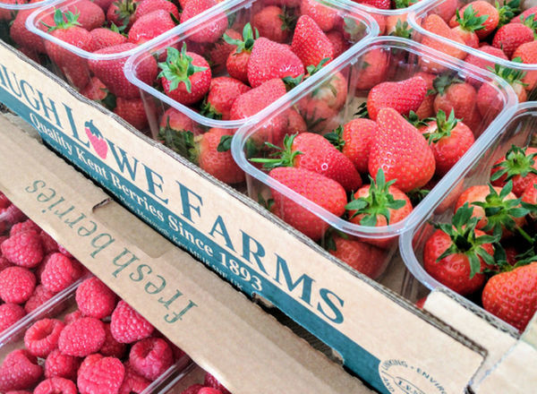 Strawberries EKG