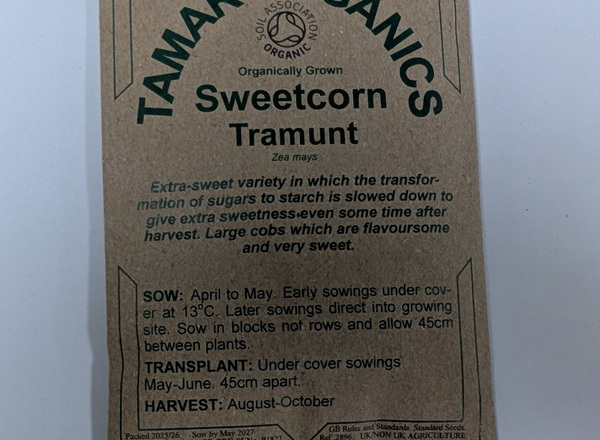 (Seeds) Sweetcorn - Tramunt