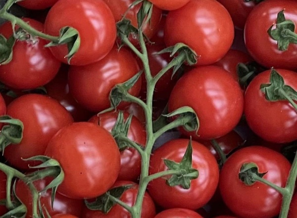 Tomatoes - Cherry Vine Honeydrop