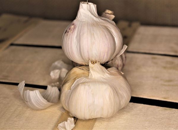 Organic Garlic (Spain)