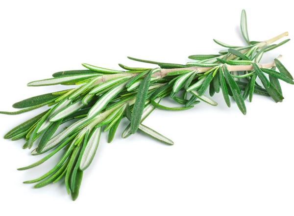 Rosemary - Bunch - Local