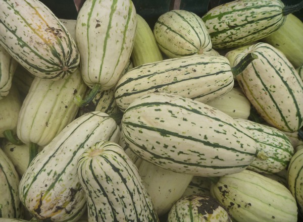Squash, mini (400g approx)
