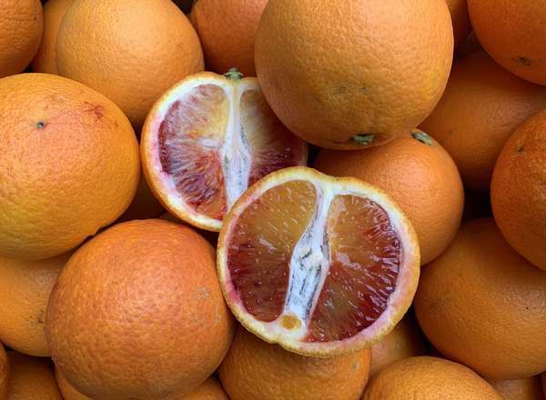 Organic Tarocco Blood Oranges