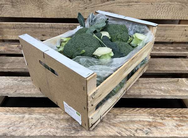 Organic Broccoli