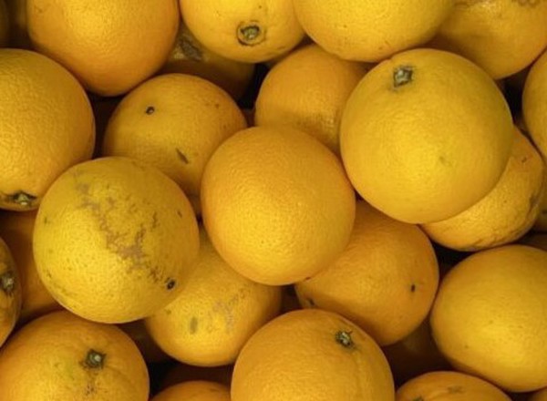 Oranges (500g)