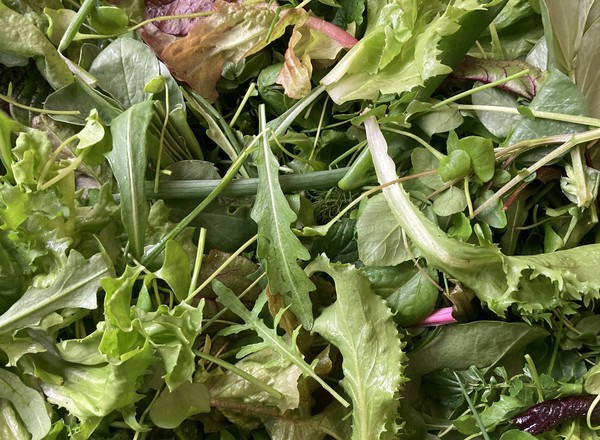 OrganicLea salad (100g)