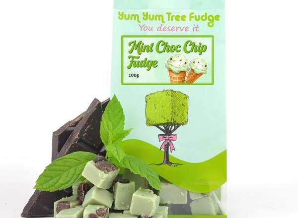 Mint Chocolate Chip Fudge