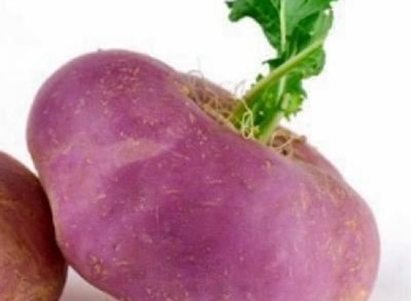 Turnip - Organic FR