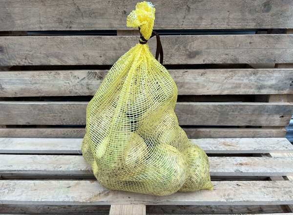 Organic Celeriac Small