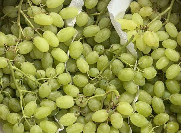 Grape - White (Spain)