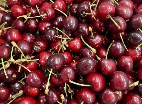 Cherries - EU