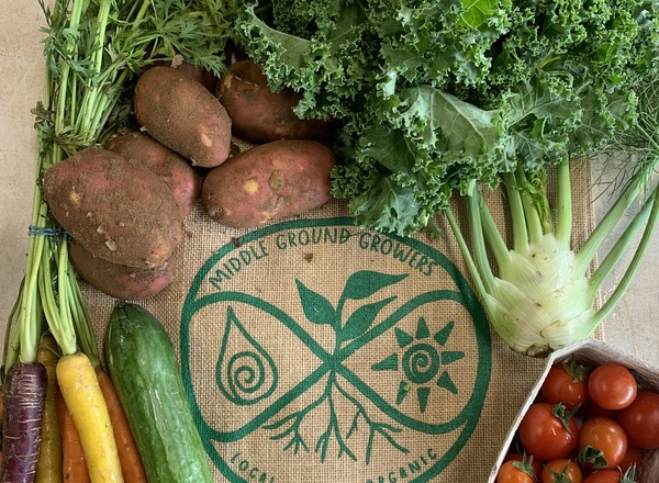 Small Organic Veg Bag