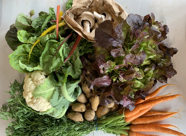 Small Organic Veg Bag