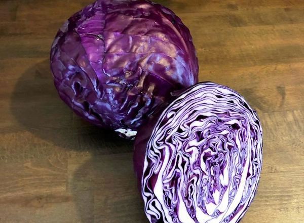 Cabbage Red