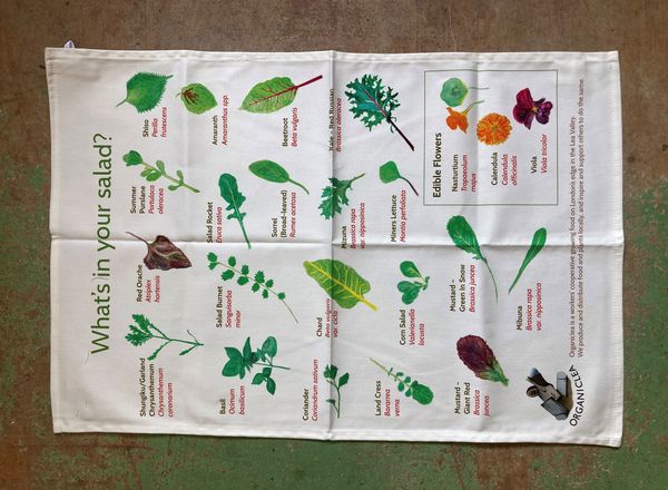 Tea Towel (What's in your Salad? )