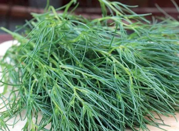 Agretti